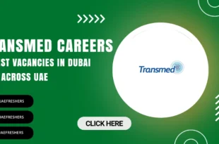 Transmed Careers